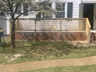 IMG 0920